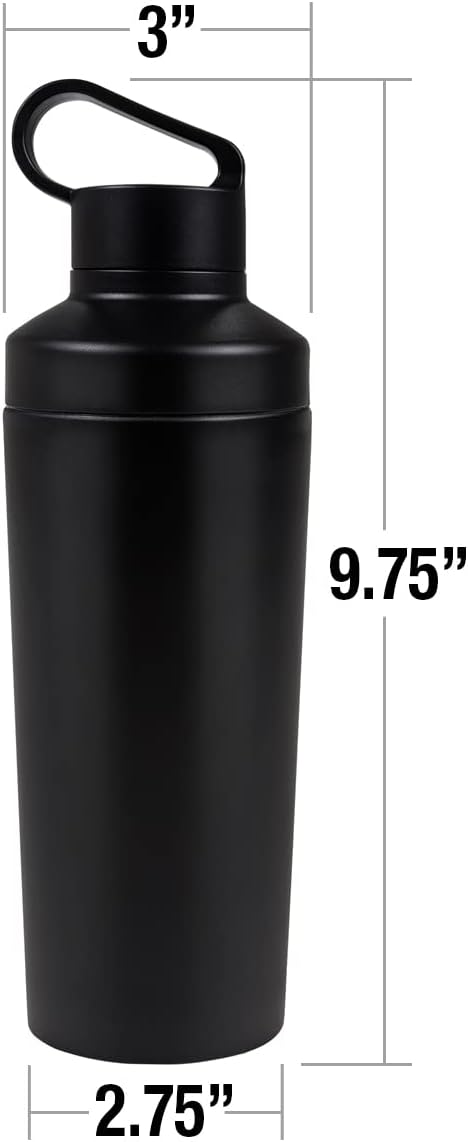 Sesame Street 18oz Insulated Water Bottle, Leak Resistant, Vacuum Insulated Stainless Steel