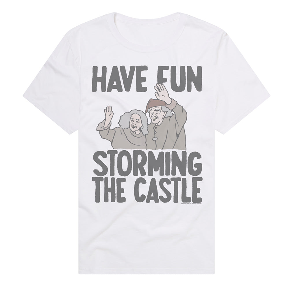Storming the Castle