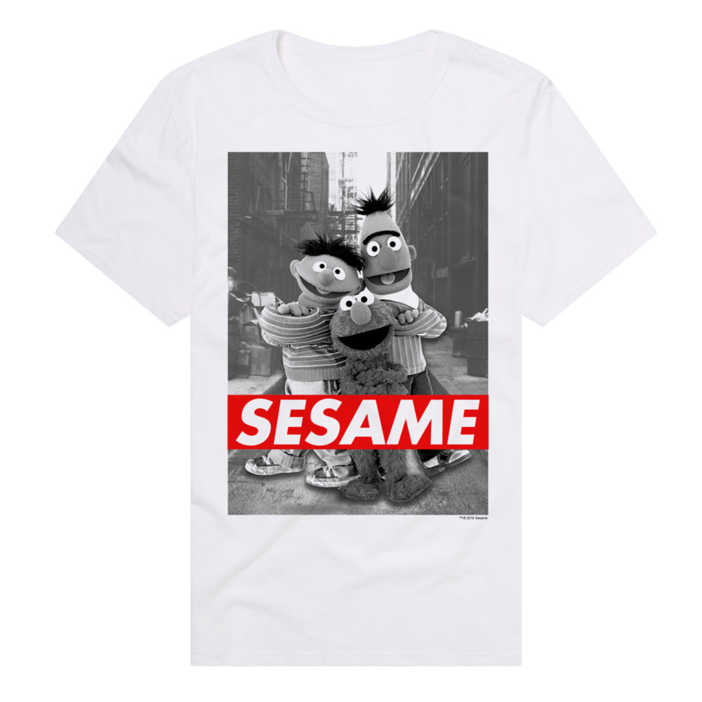 Popfunk Sesame Street Bert and Ernie Supreme Adult Unisex T Shirt White Unisex Tee X Large