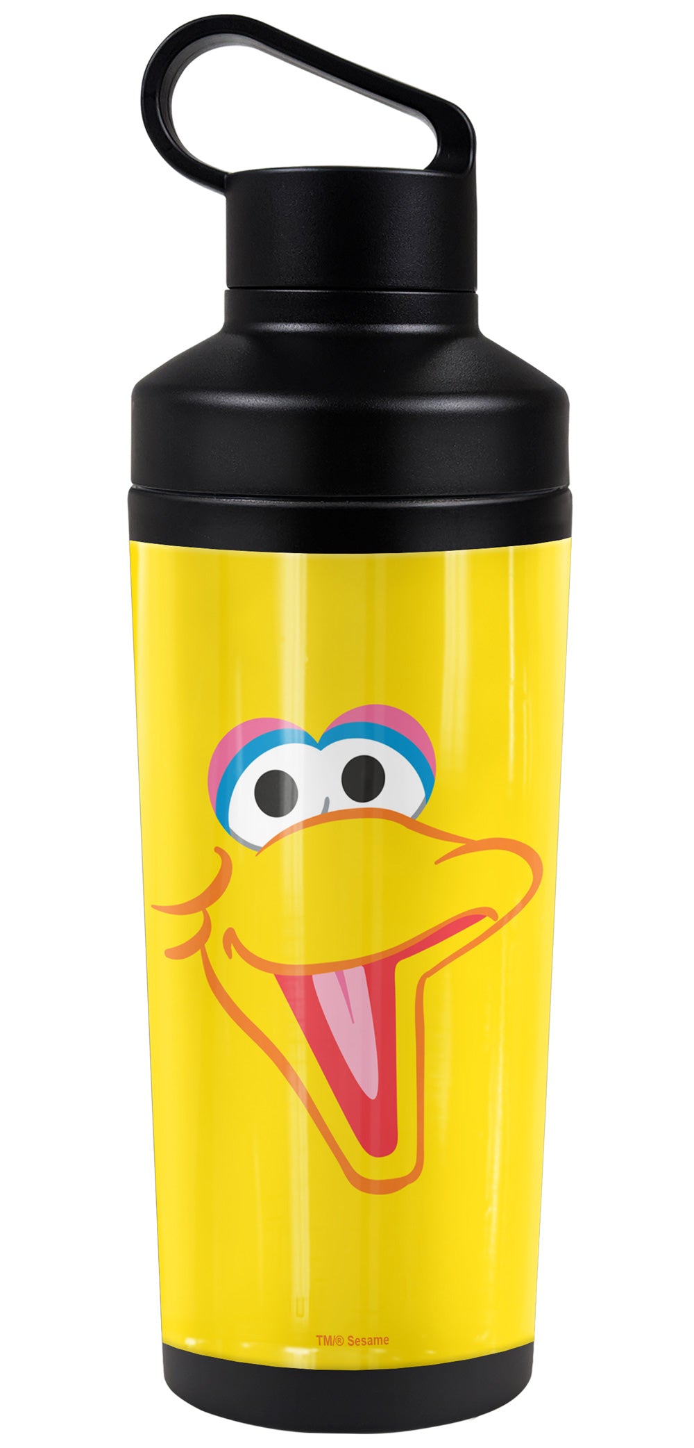 Sesame Street 18oz Insulated Water Bottle, Leak Resistant, Vacuum Insulated Stainless Steel