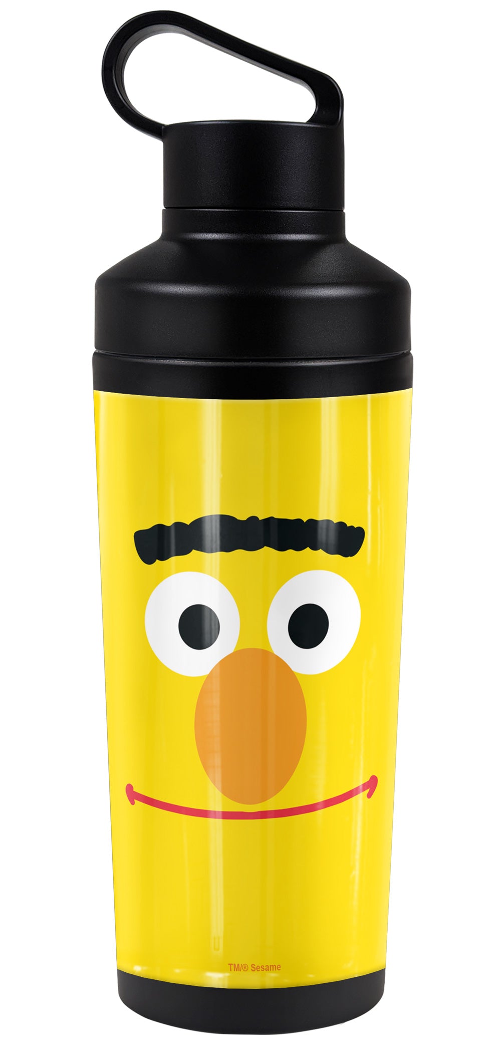 Sesame Street 18oz Insulated Water Bottle, Leak Resistant, Vacuum Insulated Stainless Steel
