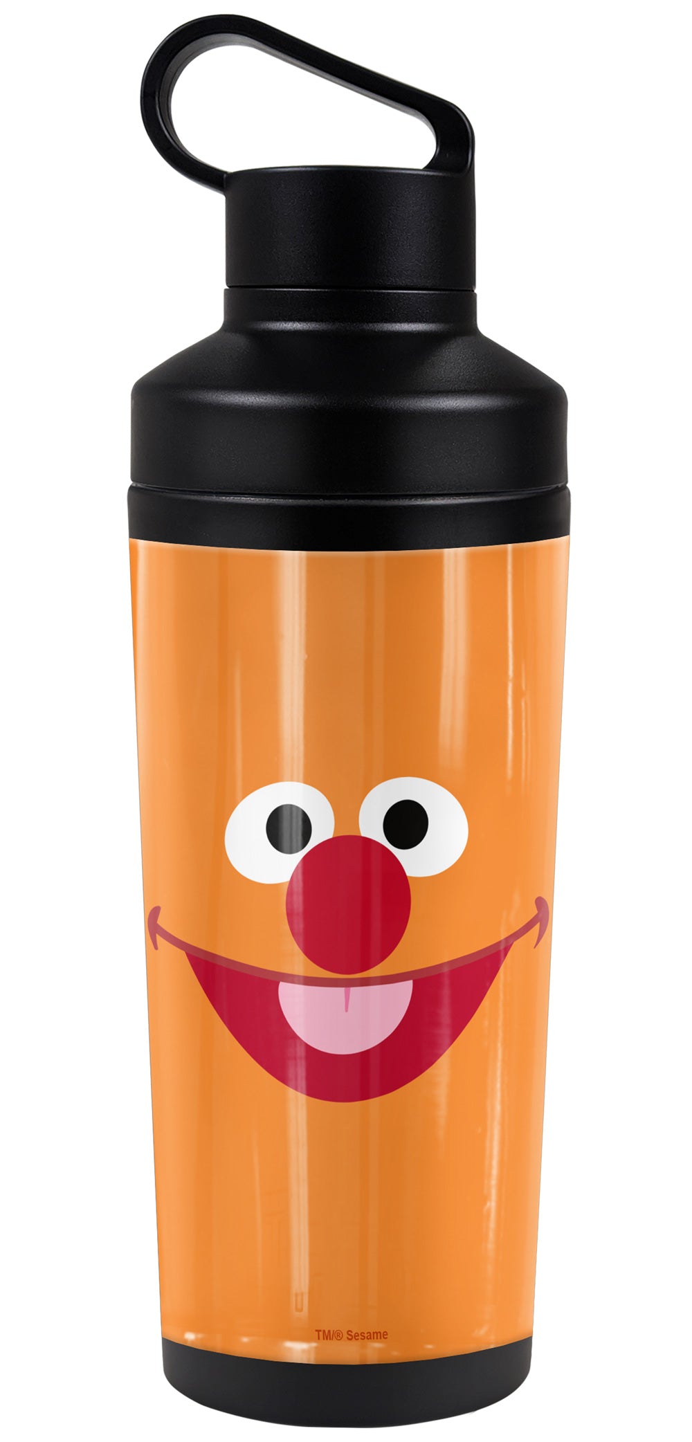 Sesame Street 18oz Insulated Water Bottle, Leak Resistant, Vacuum Insulated Stainless Steel