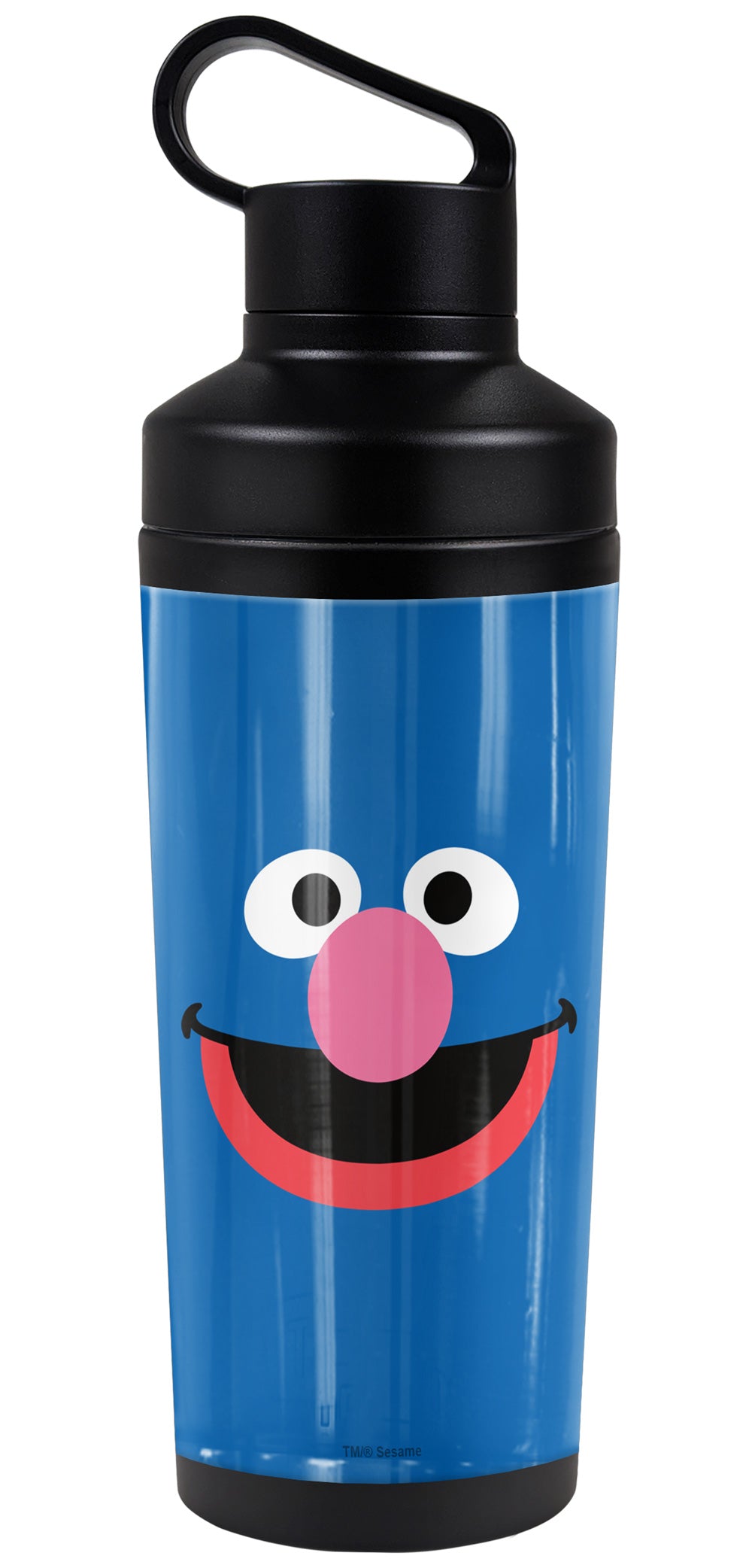 Sesame Street 18oz Insulated Water Bottle, Leak Resistant, Vacuum Insulated Stainless Steel