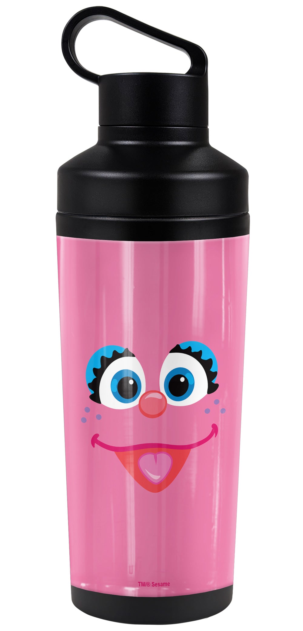 Sesame Street 18oz Insulated Water Bottle, Leak Resistant, Vacuum Insulated Stainless Steel