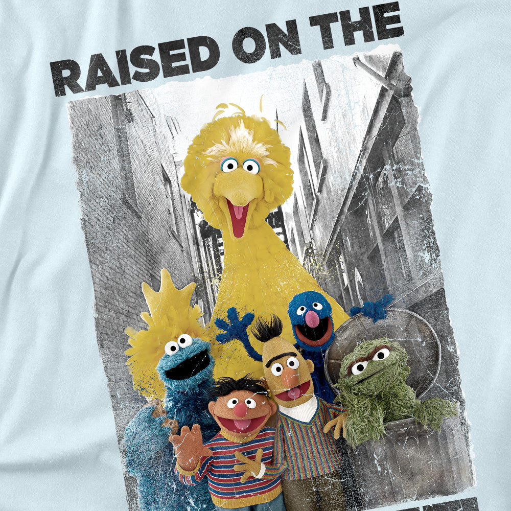 Sesame Street Raised On The Street Vintage Women's Cropped T Shirt Sky Blue