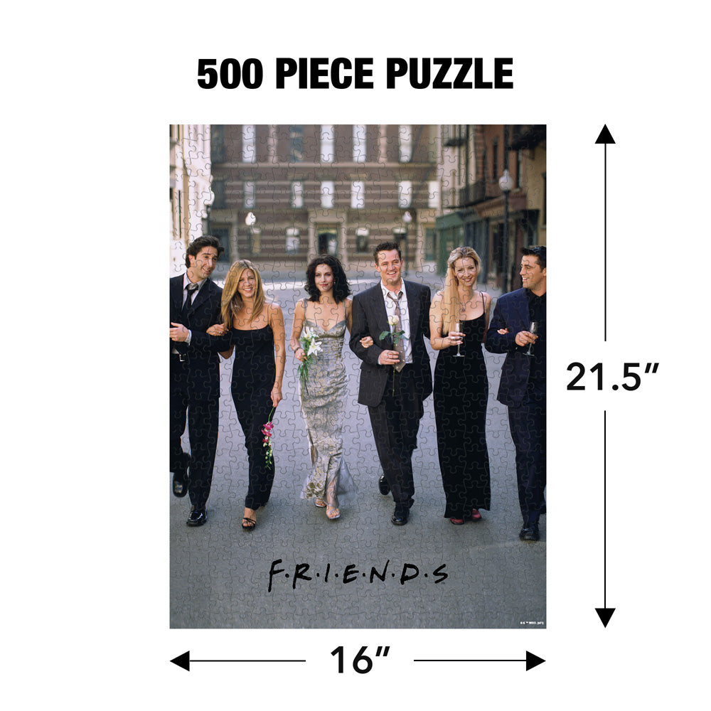 Friends Poster 500 Piece Jigsaw Puzzle for Adults, 16" L X 21.5" W