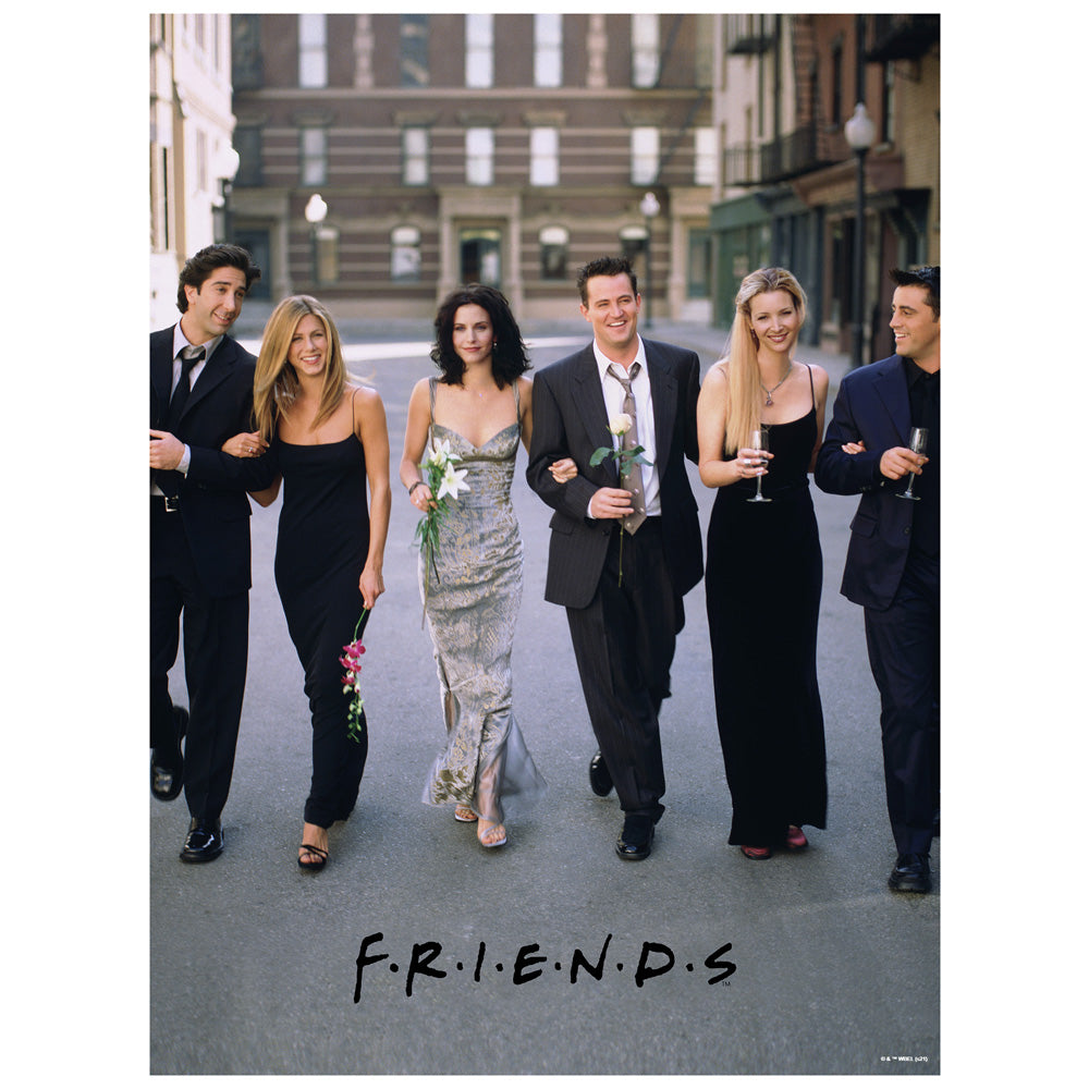 Friends Poster 500 Piece Jigsaw Puzzle for Adults, 16" L X 21.5" W