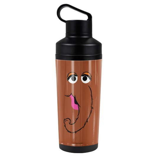 Sesame Street 18oz Insulated Water Bottle, Leak Resistant, Vacuum Insulated Stainless Steel