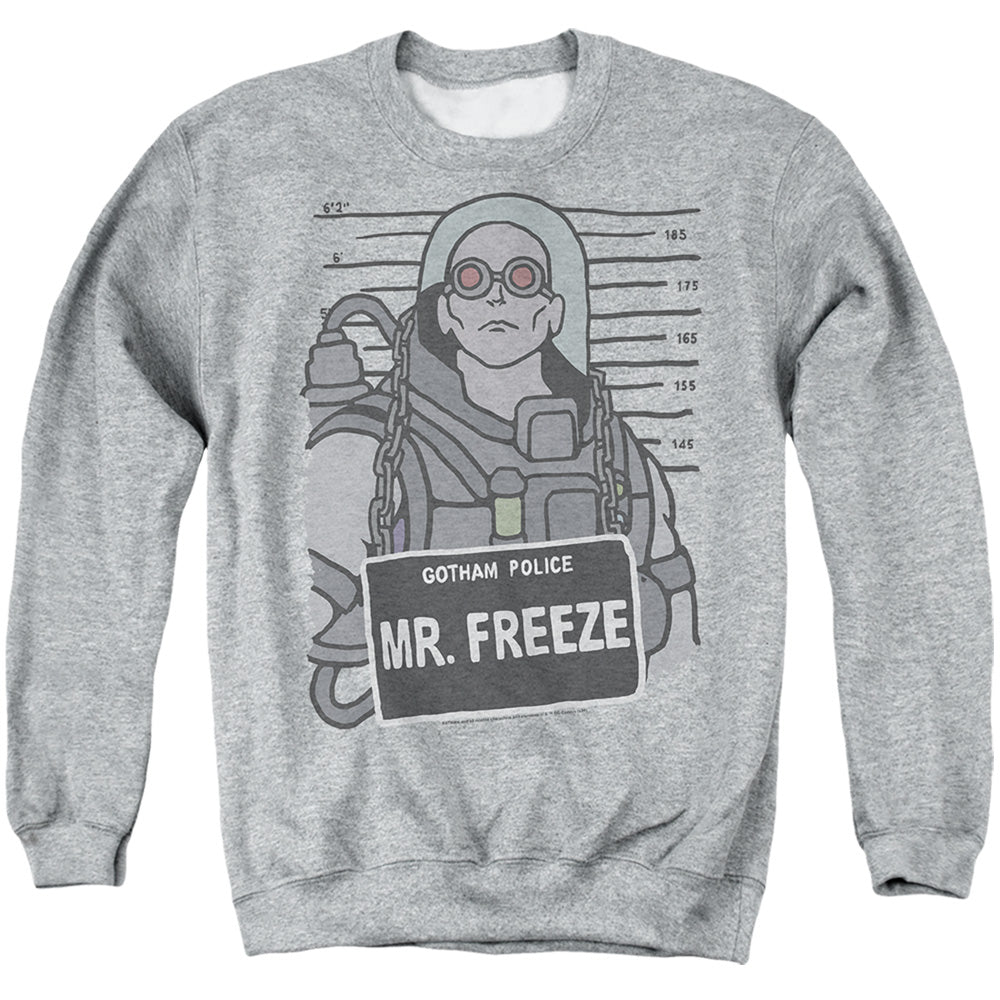 Mr. Freeze Mugshot