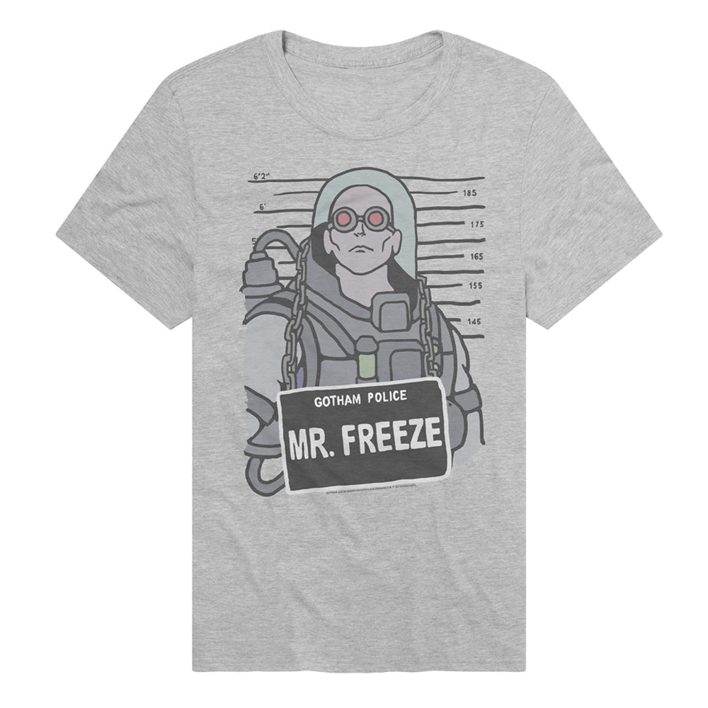 Mr. Freeze Mugshot