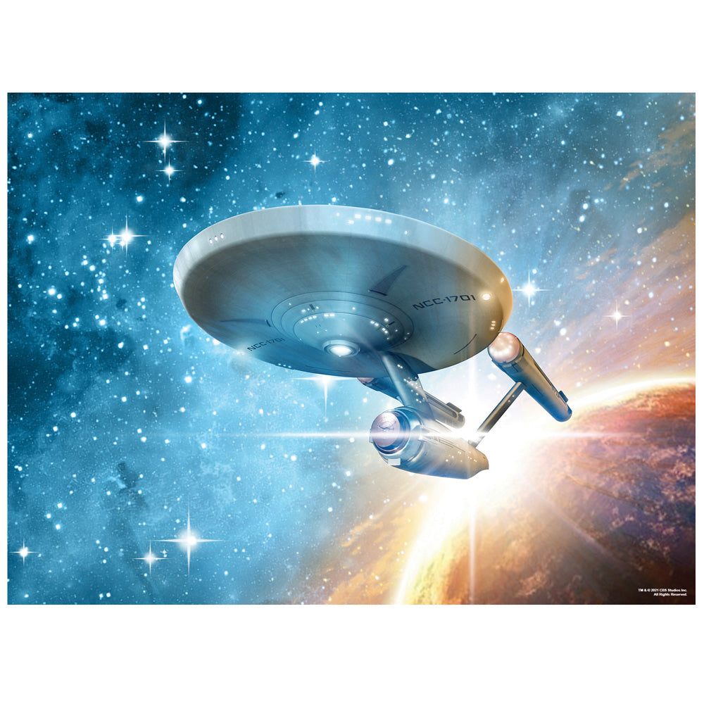 Star Trek NCC-1701 500 Piece Jigsaw Puzzle for Adults, 16" L X 21.5" W