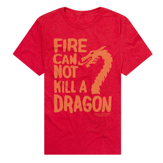 Fire Can Not Kill a Dragon