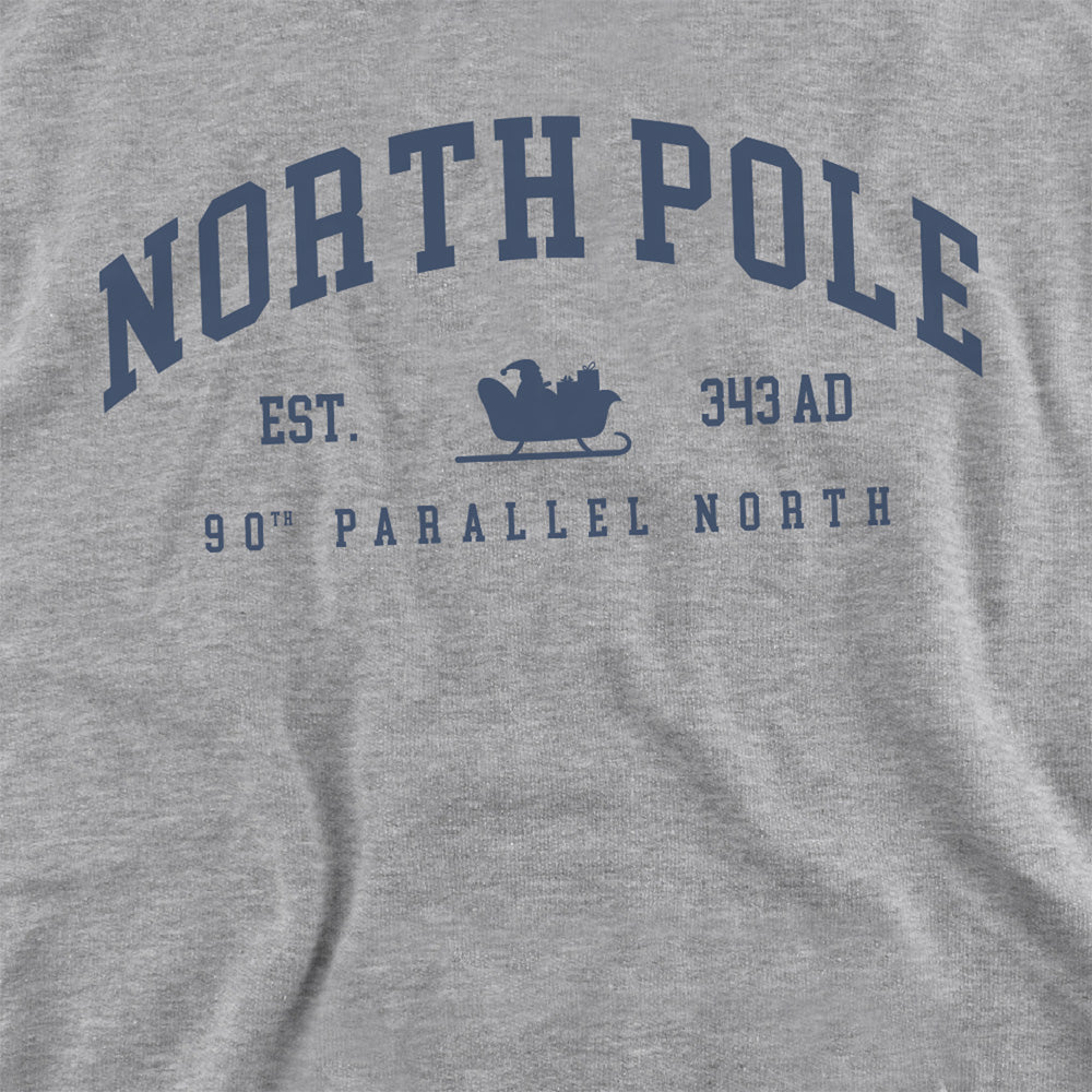 North Pole 90th Parallel Adult Sweatshirt Grey