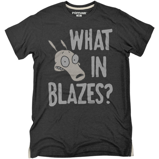 Rocko's Modern Life Blazes