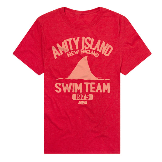 Amity Swim Team